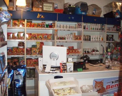 Zdjęcie z galerii